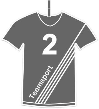 Teamsport